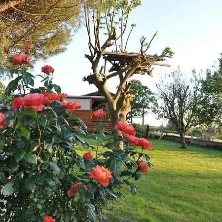 Roulotte Beaulieu Campingplads