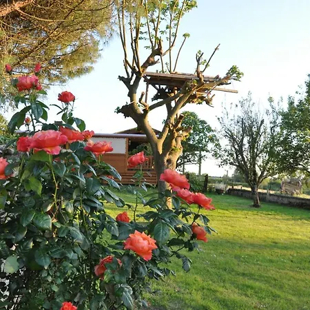 Roulotte Beaulieu Kemping