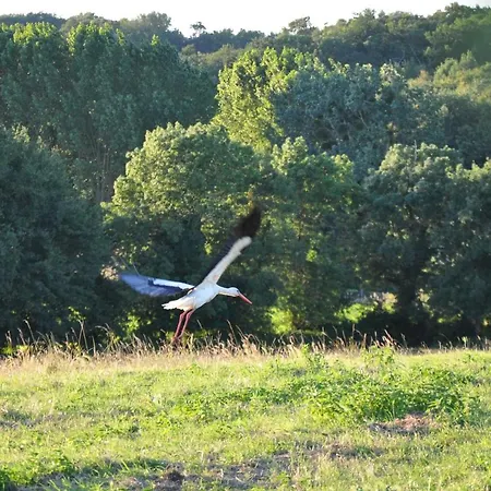 Kemping Roulotte Beaulieu *