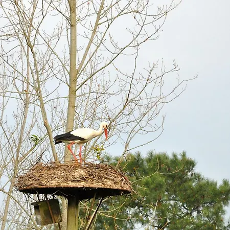 Roulotte Beaulieu Campingplads *