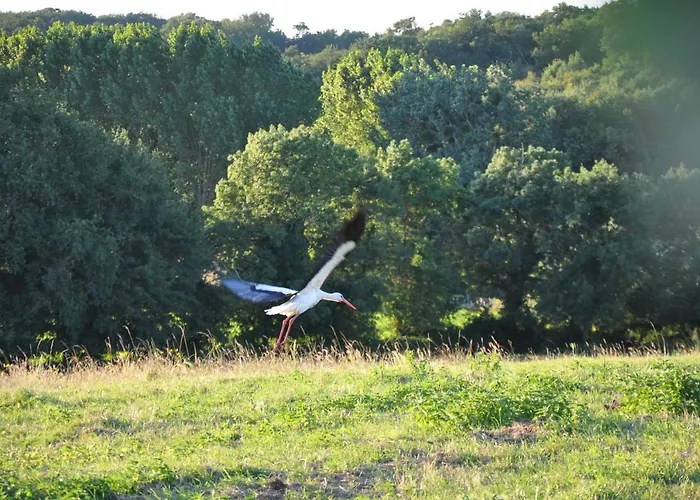 Campsite Roulotte Beaulieu *