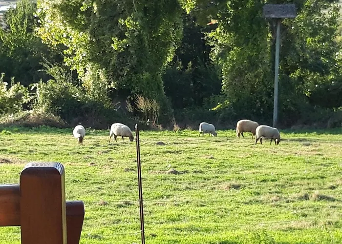 Roulotte Beaulieu Saint-Jean-d'Angle