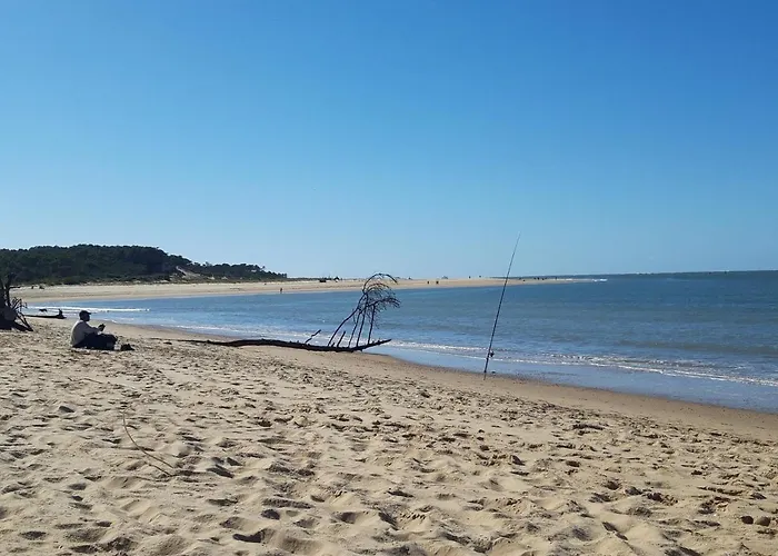 Campsite Roulotte Beaulieu *