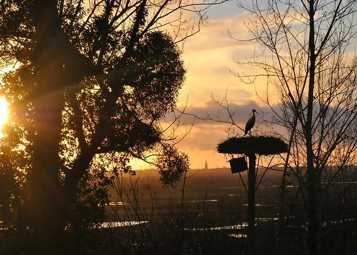 Campsite Roulotte Beaulieu Saint-Jean-d'Angle