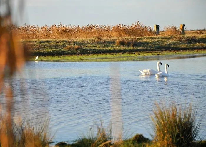 Campsite Roulotte Beaulieu